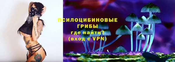 герыч Козельск