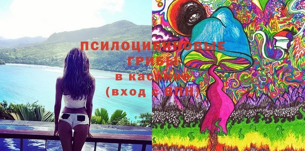 герыч Козельск