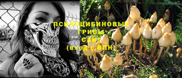 героин Вяземский