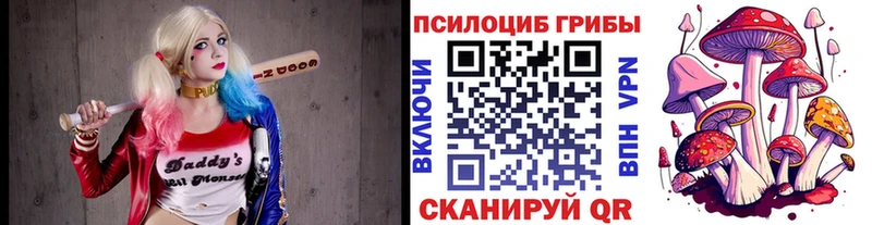 Псилоцибиновые грибы Psilocybine cubensis  кракен сайт  Мценск 