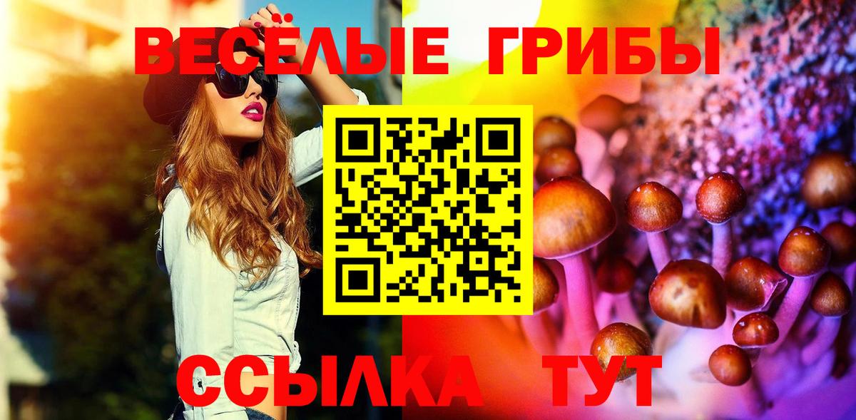 продажа наркотиков  Вход с VPN  Мценск  Галлюциногенные грибы мухоморы  Галлюциногенные грибы мухоморы 